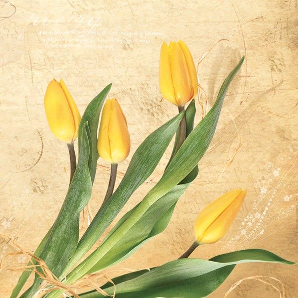 Serwetki 33x33 MAKI WIOSNA Tulipany 0044 01 Bunch of Yellow Tulips op. 20 sztuk